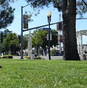 Dog Park Downtown Park Rialto