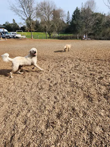 Dog Park Ragle Ranch Park Santa Rosa