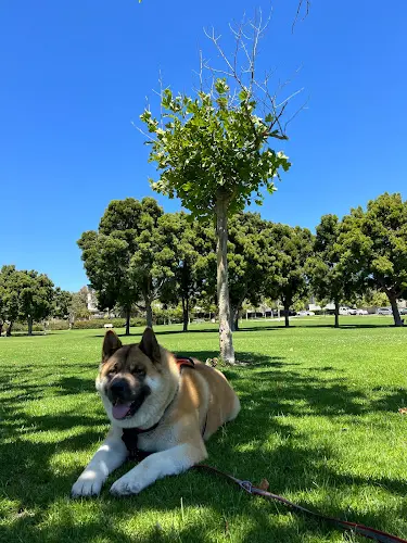 Dog Park Villa Norte Park San Diego