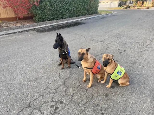 Pet boarding service Trinity Animal Care Services Fresno