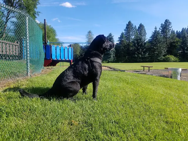 Dog Park Wentel Grant Park Spokane