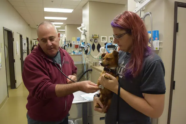 Pet vet HOPE Animal Foundation Fresno