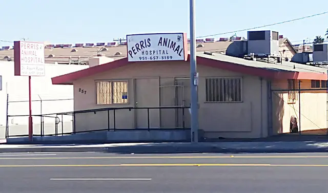 Pet vet Perris Animal Hospital Riverside