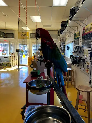 Pet vet Omar's Exotic Birds Vista