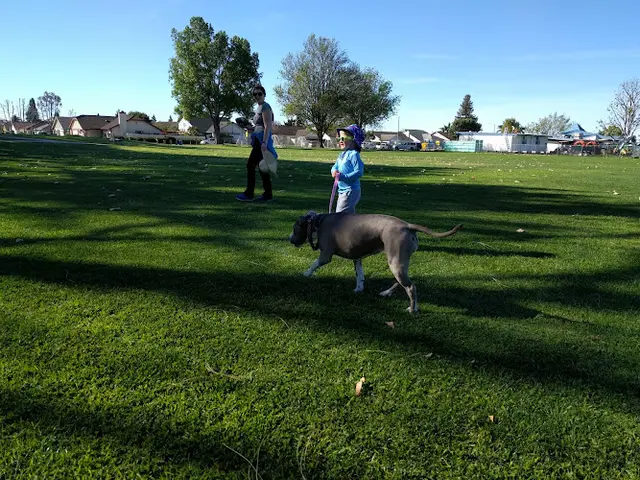 Dog Park Valle Lindo Park Ventura