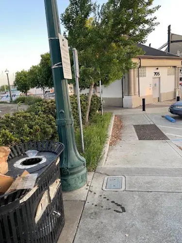 Rescue & Shelter Abandoned Cat Team Stockton