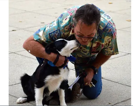 Dog trainer Cutting S Ranch Murrieta