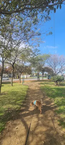 Dog Park Whitnall Highway Park South Burbank