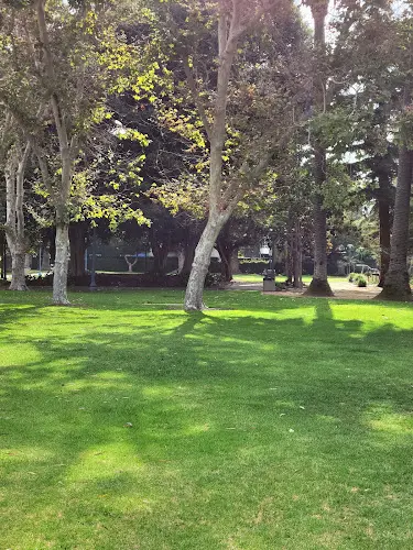 Dog Park Birch Park Santa Ana