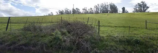 Rescue & Shelter A Wildlife Exclusion Services Santa Rosa