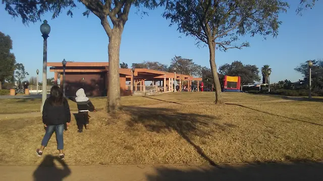 Dog Park Davenport Park Long Beach