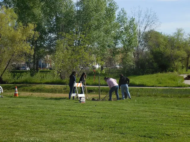 Dog Park Robert Brookins Park Sacramento