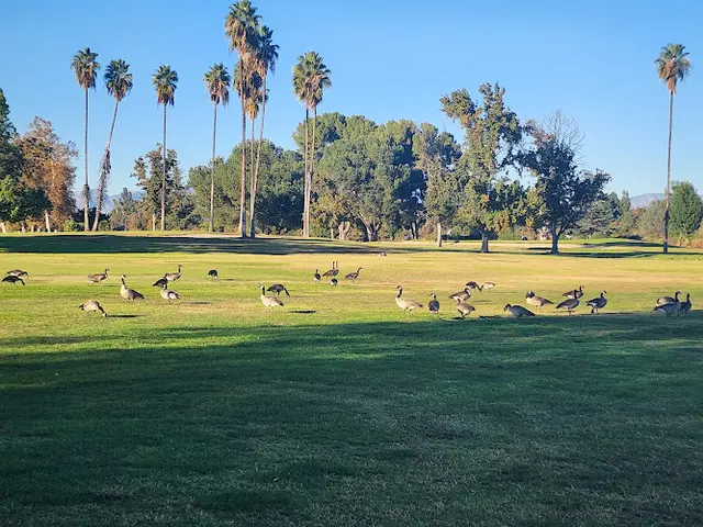 Dog Park Sepulveda Basin Recreation Area Burbank