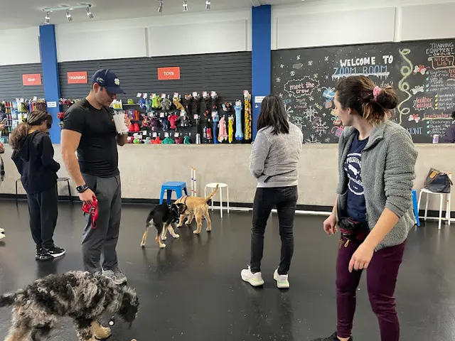 Dog trainer Zoom Room Dog Training Richmond