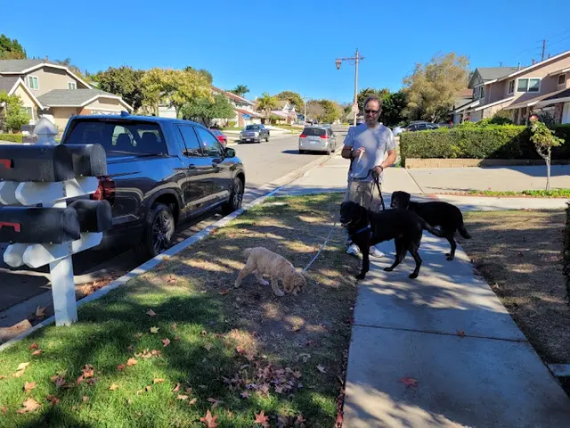Dog walker Tails A Wag Inn Anaheim