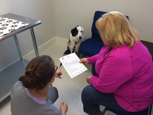 Pet vet Dermatology for Animals - Oakland Berkeley