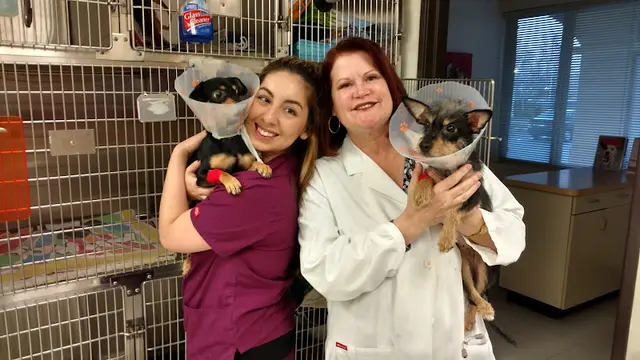 Pet vet Abel Pet Clinic Sacramento