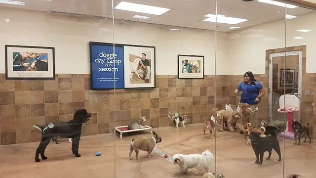 Pet boarding service PetSmart Los Angeles