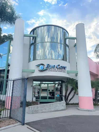 Pet vet Eye Care for Animals - Pasadena Pasadena