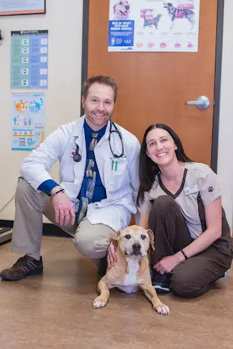 Pet vet Kittel Family Veterinary Practice Inc. Sacramento