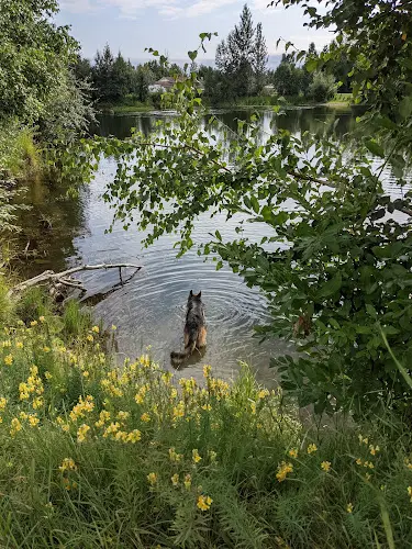 Dog Park Waldron Park Anchorage