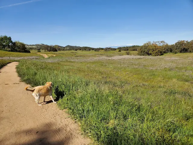 Dog Park Sylvan Meadows Trail Head Temecula