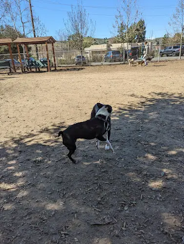 Dog Park Calabasas Bark Park Ventura