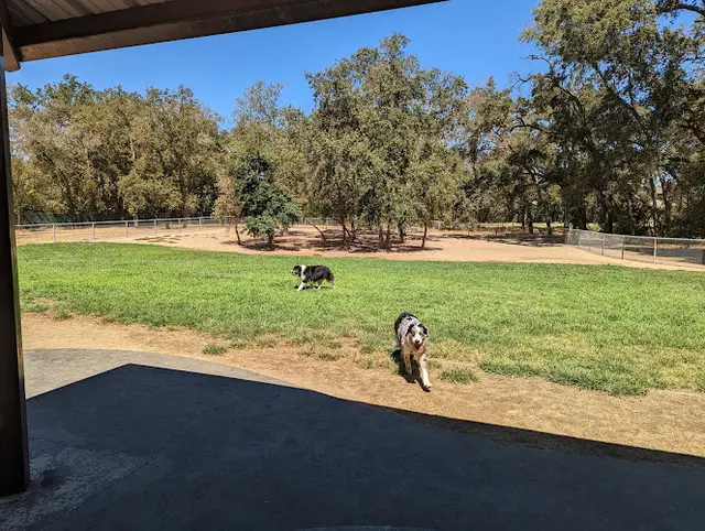 Dog Park Dog park Roseville
