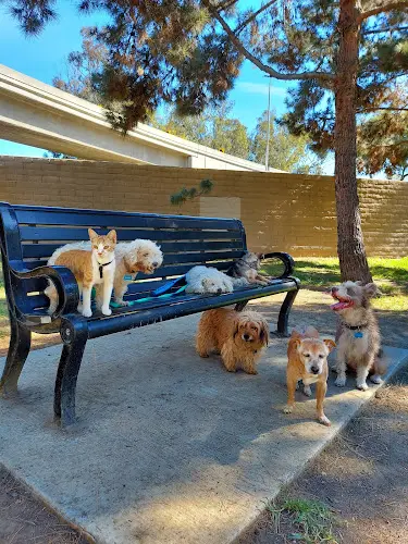 Dog Park Coolidge Dog Park Downey