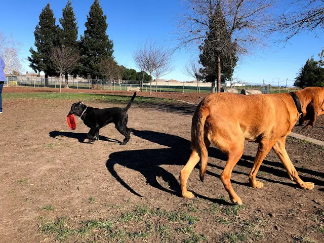 Dog Park Lynn Robie Off-Leash Dog Park Sacramento