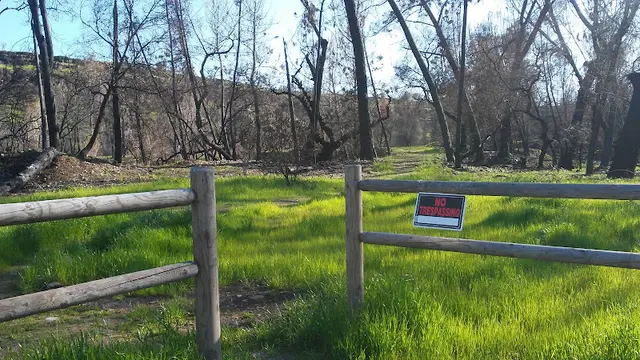 Dog Park Butte Creek Canyon Ecological Reserve Chico