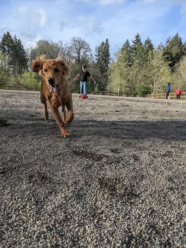 Dog Park Waluga Dog Park Portland