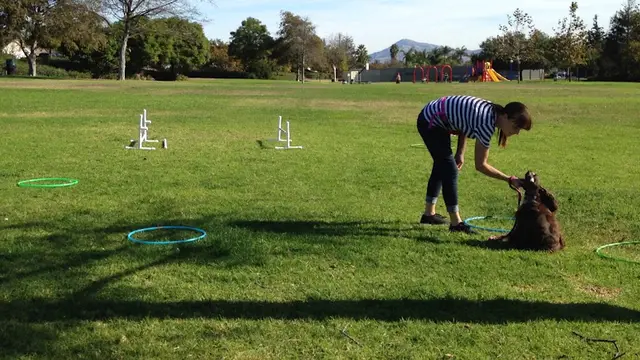 Dog trainer SixPaws Dog Training Oxnard