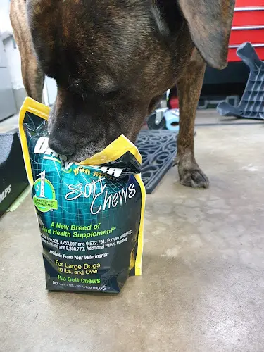 Rescue & Shelter Pet Food Express Richmond
