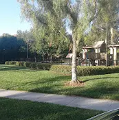 Dog Park Ridgeview Park Irvine