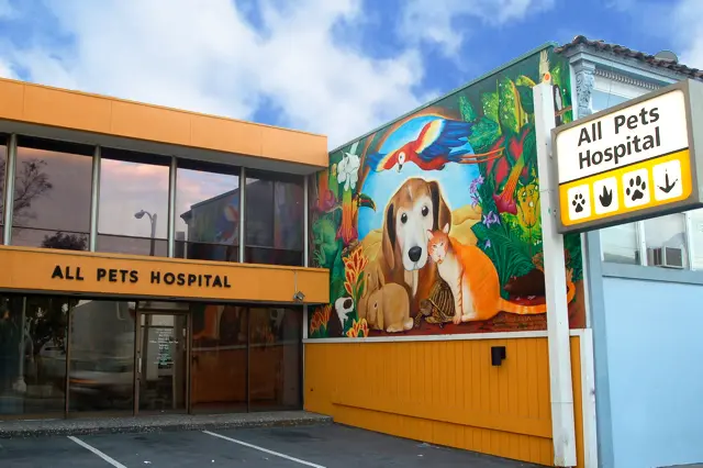Pet vet Herman Alex DVM San Francisco