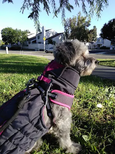 Pet vet Animal Rescue Center Los Angeles
