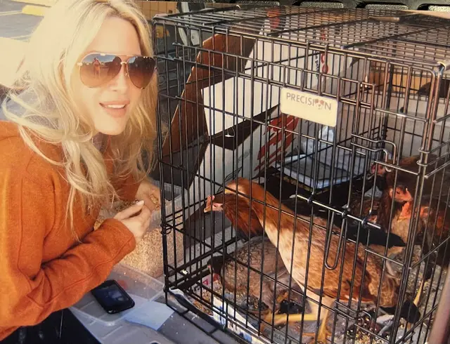 Rescue & Shelter The Kris Kelly Foundation Glendale