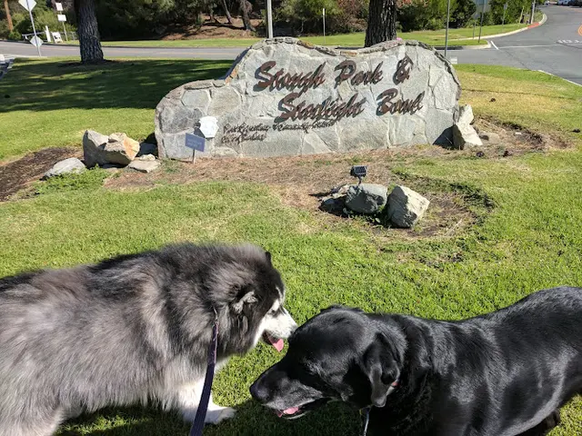 Dog Park Stough Canyon Park Burbank