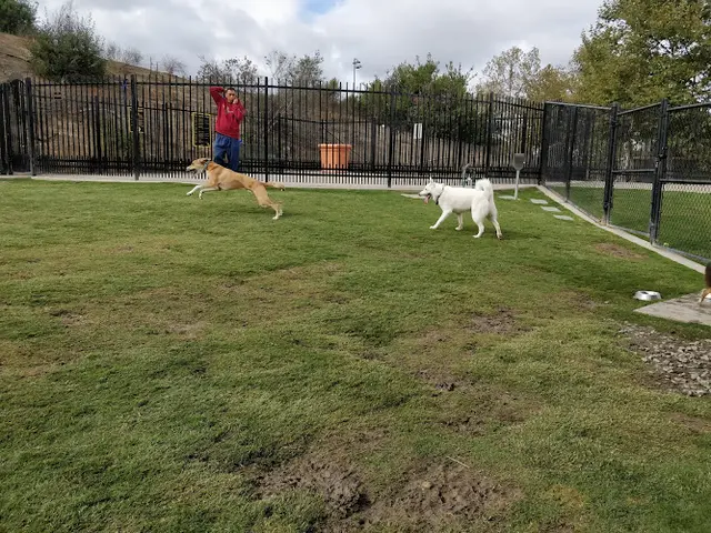 Dog Park Cañada Vista Park Irvine