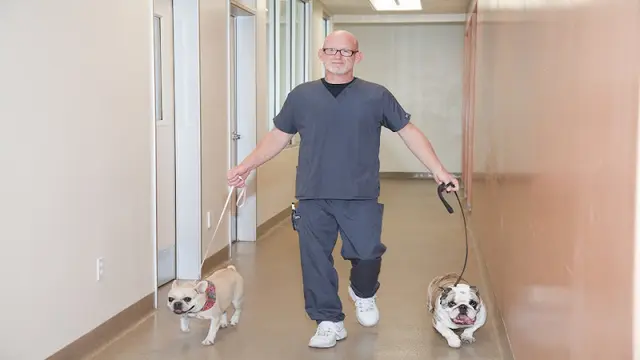 Dog day care center VCA Bakersfield Animal Hospital Bakersfield