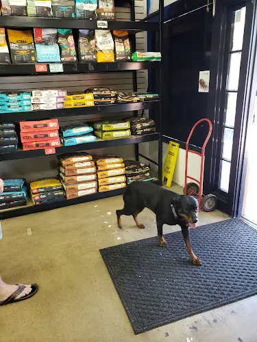 Rescue & Shelter Pet Stuff San Diego