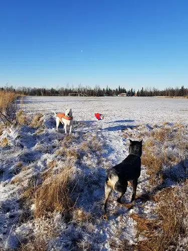 Dog Park Ray E. Storck Homestead Park Anchorage