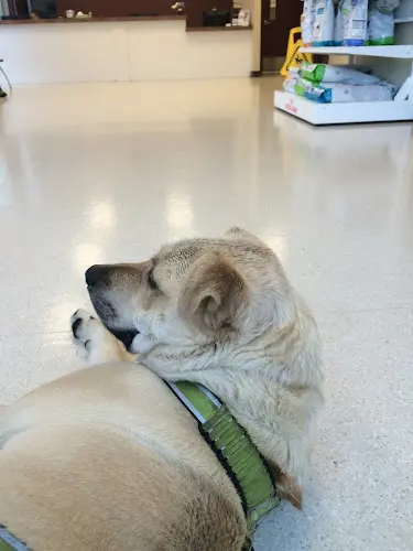 Pet vet PetSmart Tacoma