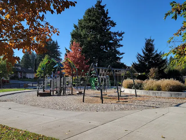 Dog Park First Place Park Vancouver