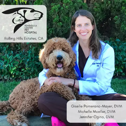 Pet vet Peninsula Center Pet Hospital Carson