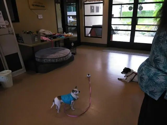 Dog breeder Pet Project Foundation Mission Viejo
