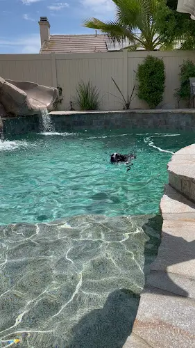 Dog trainer Honor K9 Dog Training Murrieta