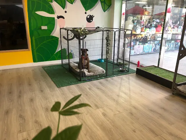Pet boarding service Puppy Love Varieties and Grooming Los Angeles
