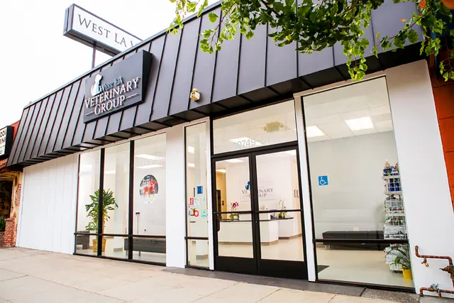 Pet boarding service West LA Veterinary Group Los Angeles